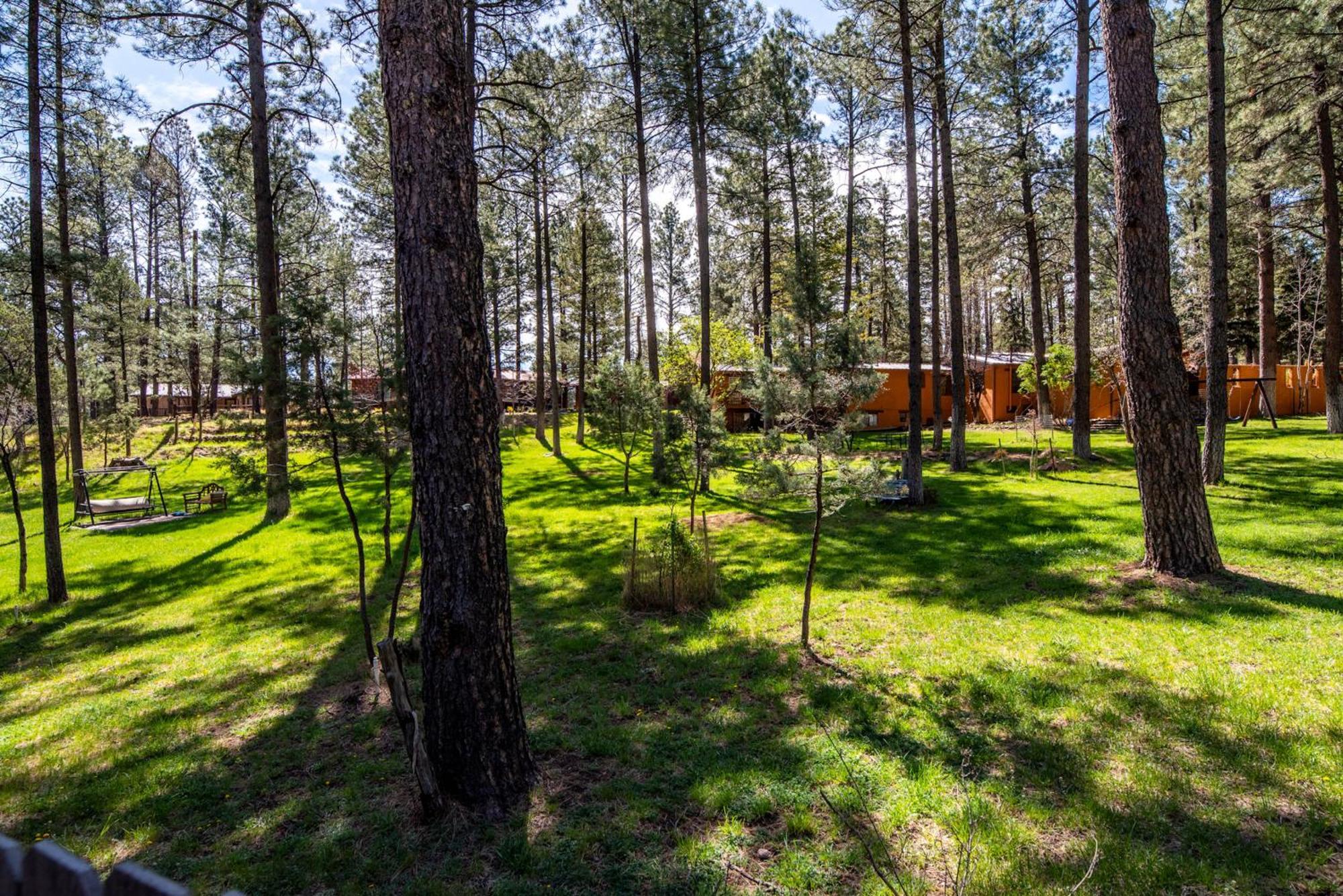 루이도소 Rustic Pines Retreat 빌라 객실 사진